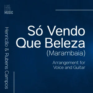 Só Vendo Que Beleza (Voz e Violão)
